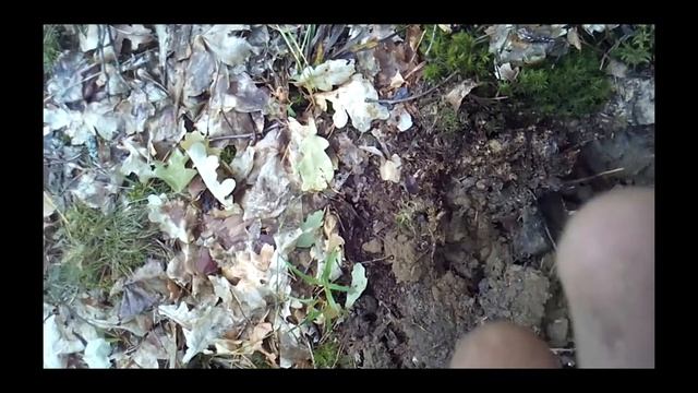 Коп от Сани!Поиск XP DEUS!!! смотреть онлайн