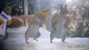 Зажигаем!  Качается земля. 😁😄 Шуточная песня.