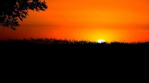 михаил дунаев и виа с.в.рекорд-цыганская королева