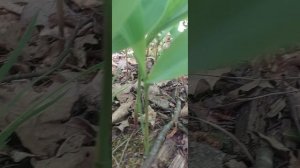 Сильная молитва Господу за мужа