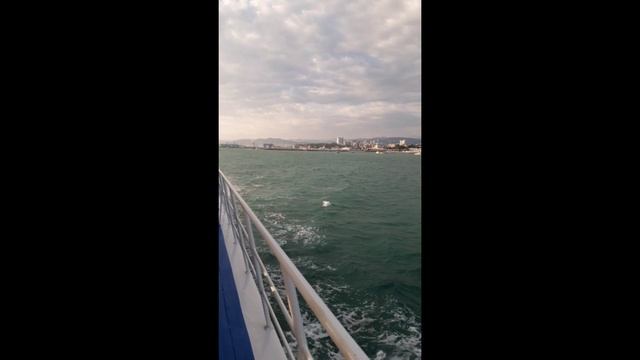 #МореСочи