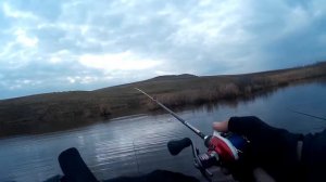 Осенняя ловля щуки на крупные воблера!