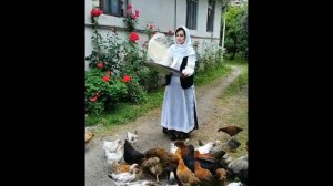 Tolışə nəğmə  Talış mahnısı Талышская песня:"Be chayi nema sho" Muin Sadigh Badri