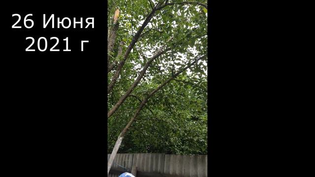 САДОВОДЫ И ОГОРОДНИКИ у кого на участке ЛЭП будьте бдительны без предупреждения лишитесь всего.