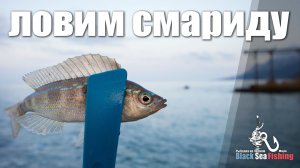 Ловим смариду осенью на Черном Море! Rockfishing в Крыму!