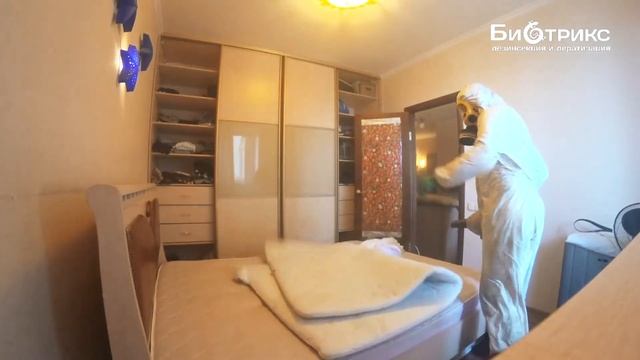 Как и Откуда в квартире появляются,заводятся клопы:как избавиться?