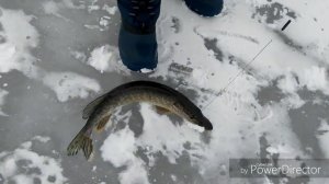 Закрытие зимнего сезона 2019г. Рыбалка на Днепре. Вечерний выход щуки...