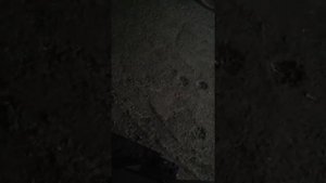 Почему скутер не заводится со стартера? Решение!
