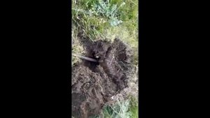 Всё из металлокопа#2