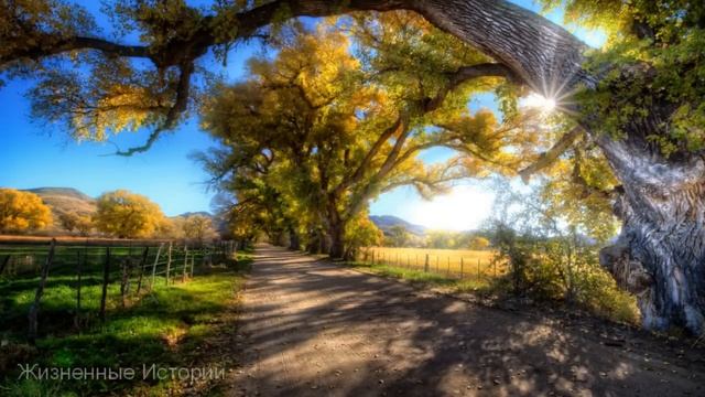 Мачеха задумала недоброе и девушка решила бежать из дома. Открывшаяся всем правда повергла в ступор смотреть онлайн