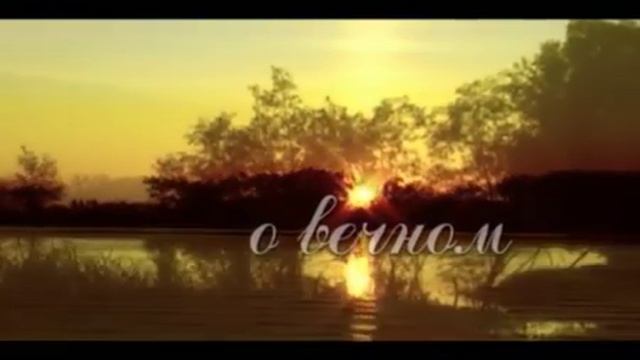 Берегите лес от пожаров смотреть онлайн