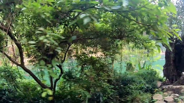 Shillong Trip Story | ShillongTour Video in Hindi | Shillong Tourist Places | Shillong Vlog in Hind смотреть онлайн