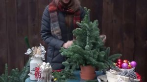 Ёлка из нобилиса на Новый Год  Мастер Класс Веры Ильиной