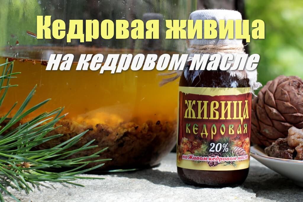 Кедровая живица от производителя