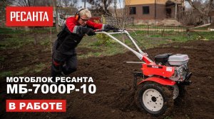 Мотоблок Ресанта МБ-7000P-10 в работе