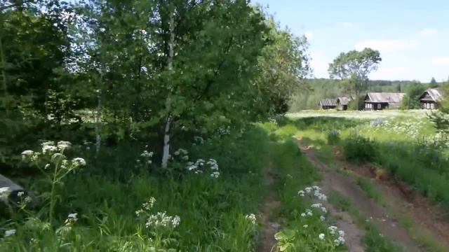 Поиск золота у барской усадьбы. смотреть онлайн