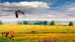 НЕ МОГУ ТАК БОЛЬШЕ ЖИТЬ АВФ .