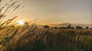 Благослови душе моя Господа. Благословенная Оптина