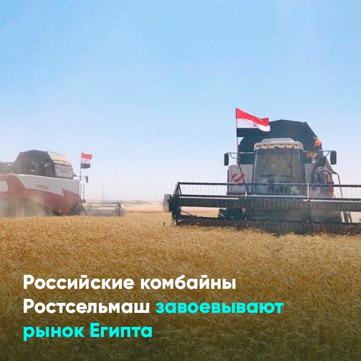 Российские комбайны Ростсельмаш завоевывают рынок Египта