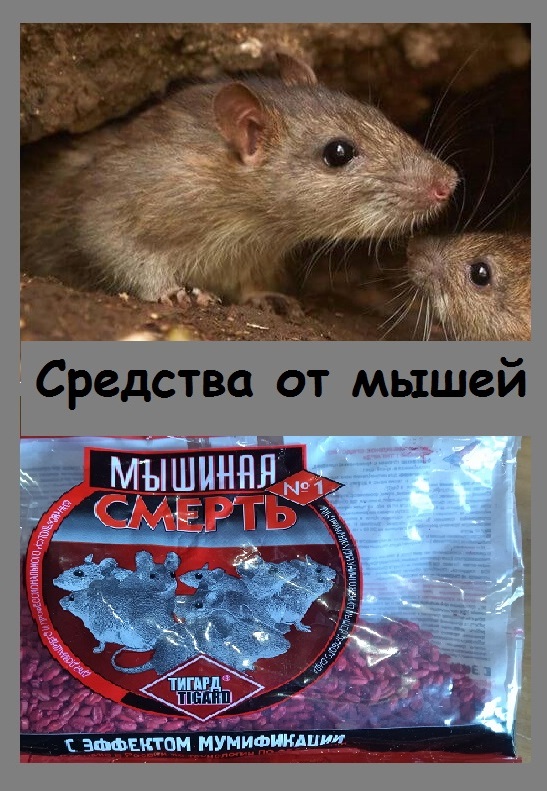 Средства от мышей и крыс, которыми мы пользуемся, они эффективны