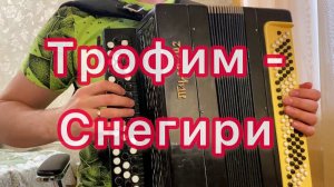 Трофим - Снегири на баяне