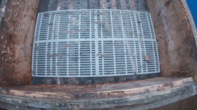 Подкормка пчёл в январе.Первые проблемы.Feeding bees in January. First problems. смотреть онлайн