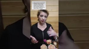 Глухой забор без согласия соседей можно?