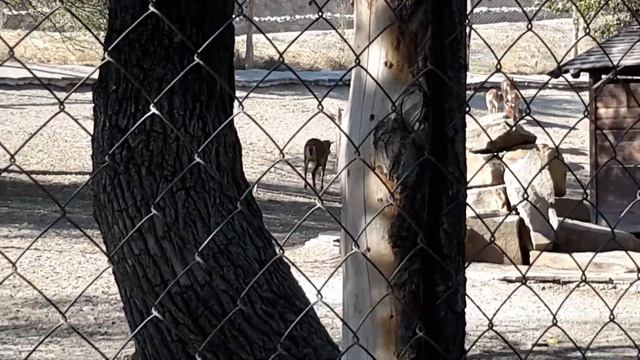 Поездка в лого парк в каменске часть 3