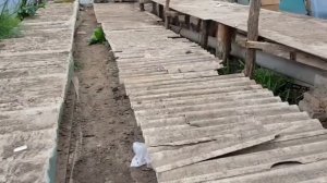 Сколько я заработал с продажи РАССАДЫ ОВОЩЕЙ. Честный обзор.