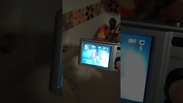 camara sony dsc-e800 no echa bien las fotos,salen borrosas смотреть онлайн