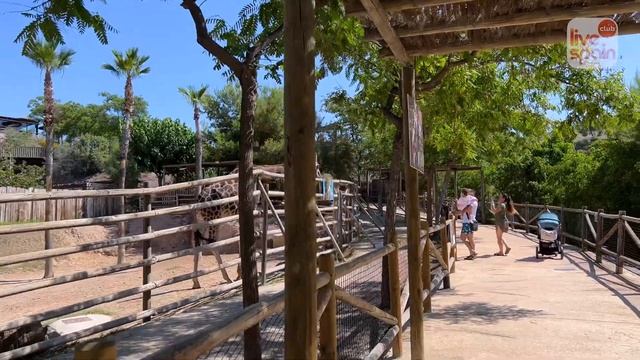 ?? Где отдохнуть в Испании летом всей семьей? Аквапарк Terra Natura