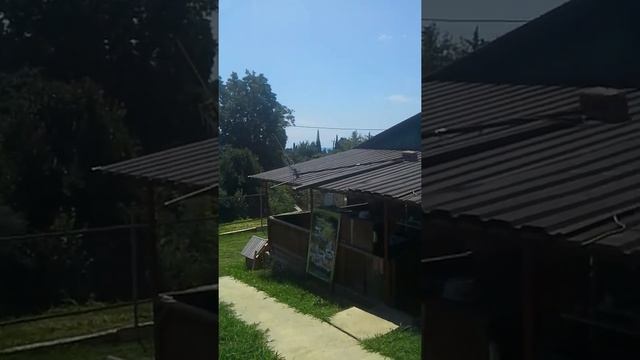 Тигровые креветки на мангале в Псырцхе(3)