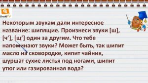 Шипящие согласные звуки. Русский язык 1 класс