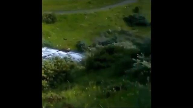 БОЖЕСТВЕННАЯ КРАСОТА КАВКАЗА