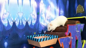 ? Hamster Escapes Maze Adventure | OBSTACLE COURSE Pirate Maze