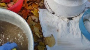 Салют СВПР-201 Пензмаш, когда соковыжималке нужен экзорцист