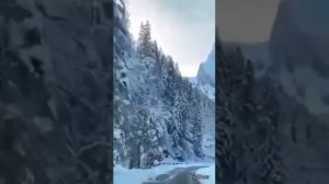 Я от жизни смолоду седею... Душевная песня.