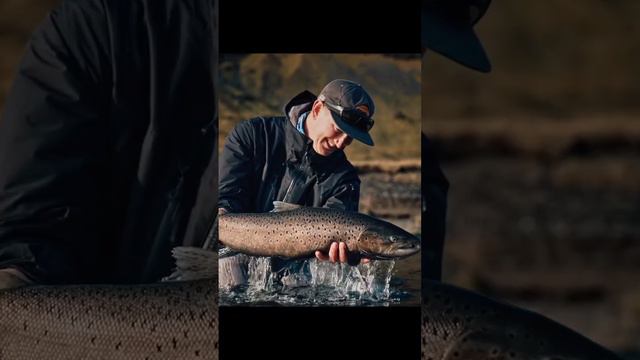 Simms Fishing - wysokiej jakości odzież i akcesoria wędkarskie смотреть онлайн