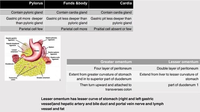 Git…part 2 смотреть онлайн
