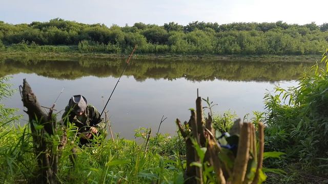 Ница.Отличный утренний клёв,вечером похуже.(июль 2022) смотреть онлайн