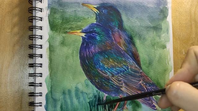 видео-урок "Основы многослойной акварели" смотреть онлайн