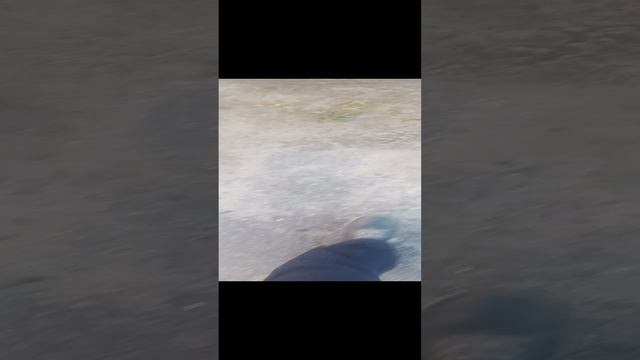 кассета 2000 года смотреть онлайн