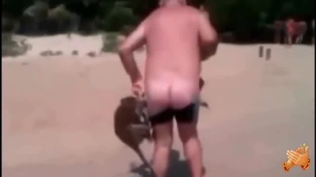 ПОЛНЫЙ  РЖАЧ!!! Прикольные обезьяны со смешной озвучкой.  НОВАЯ ПОДБОРКА