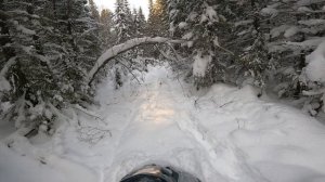 Тайга Патруль СВТ 800 (лес).mp4