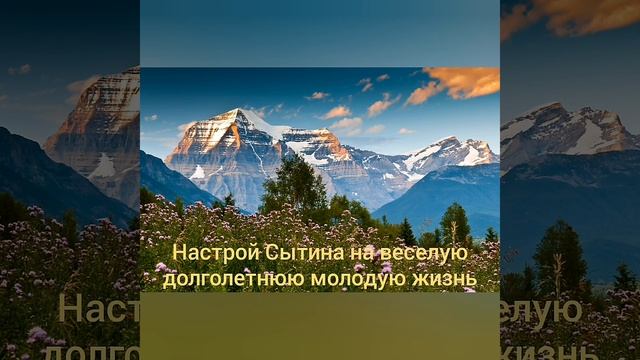 Настрой Сытина на долголетие. Настрои Георгия Сытина. смотреть онлайн
