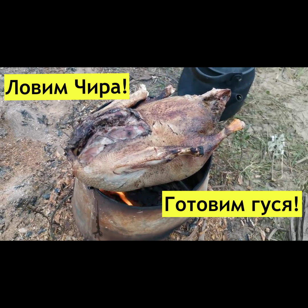 Ловим чира,готовим гуся,жарим грибы,находим бивни!.mp4
