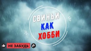 БУНКЕРНАЯ КОРМУШКА ГОТОВА