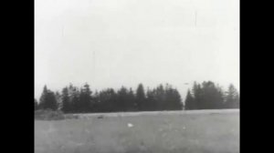 ганкамы лета 1941