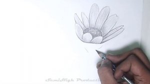 How to draw Realistic flower step by step | Beautiful Drawing