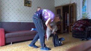 МОЙ БРАТ ЖИВОДЁР! ПРАНК НАД СЕСТРОЙ! ОНА МЕНЯ УДАРИЛА! ЖЕСТОКИЙ РОЗЫГРЫШ - КОШКА (БпС)